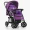 Прогулочная коляска El Camino Tornado ME 1007-9 - фиолетовый