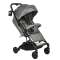 Прогулочная коляска Pituso Camino - grey metalic