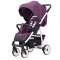 Прогулочная коляска Rant Vega Trends - line purple