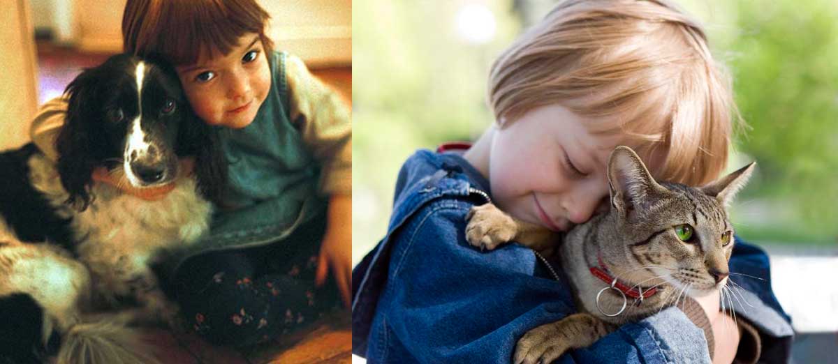 игрушки fisher price