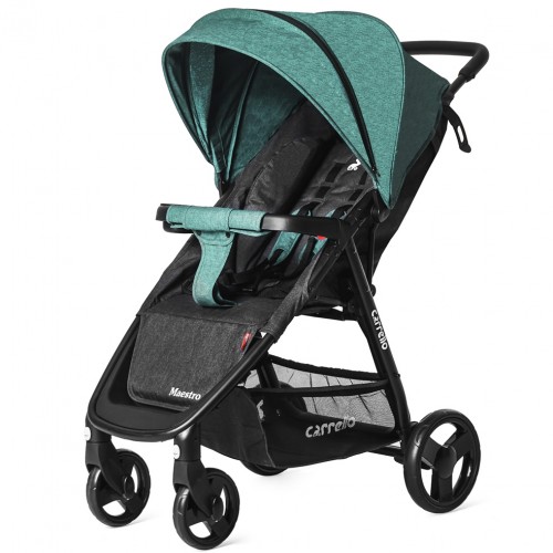 Прогулочная коляска Carrello Maestro Len - green like