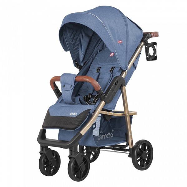 Прогулочная коляска Carrello Echo 8508/1 - azure blue