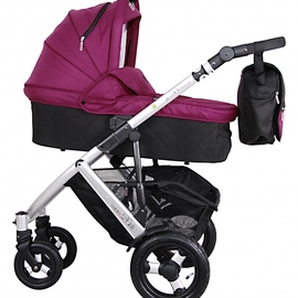 Детская универсальная коляска 2 в 1 Coletto Dante - описание