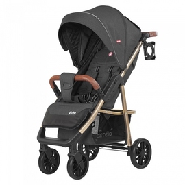 Прогулочная коляска Carrello Echo 8508/1 - описание