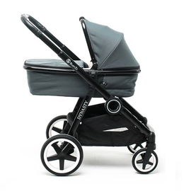 Детская коляска BabyZZ Dynasty 2 в 1 - описание