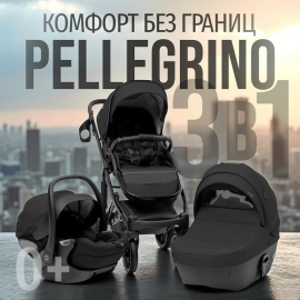 Детская коляска BubaGo Pellegrino 3 в 1 - описание