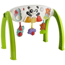 Развивающий комплекс Fisher Price Растем вместе - описание